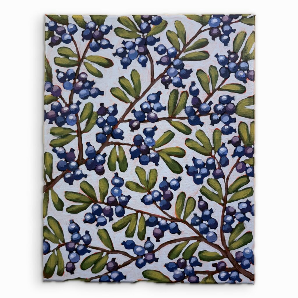 Blueberry 16 (2 of 7)