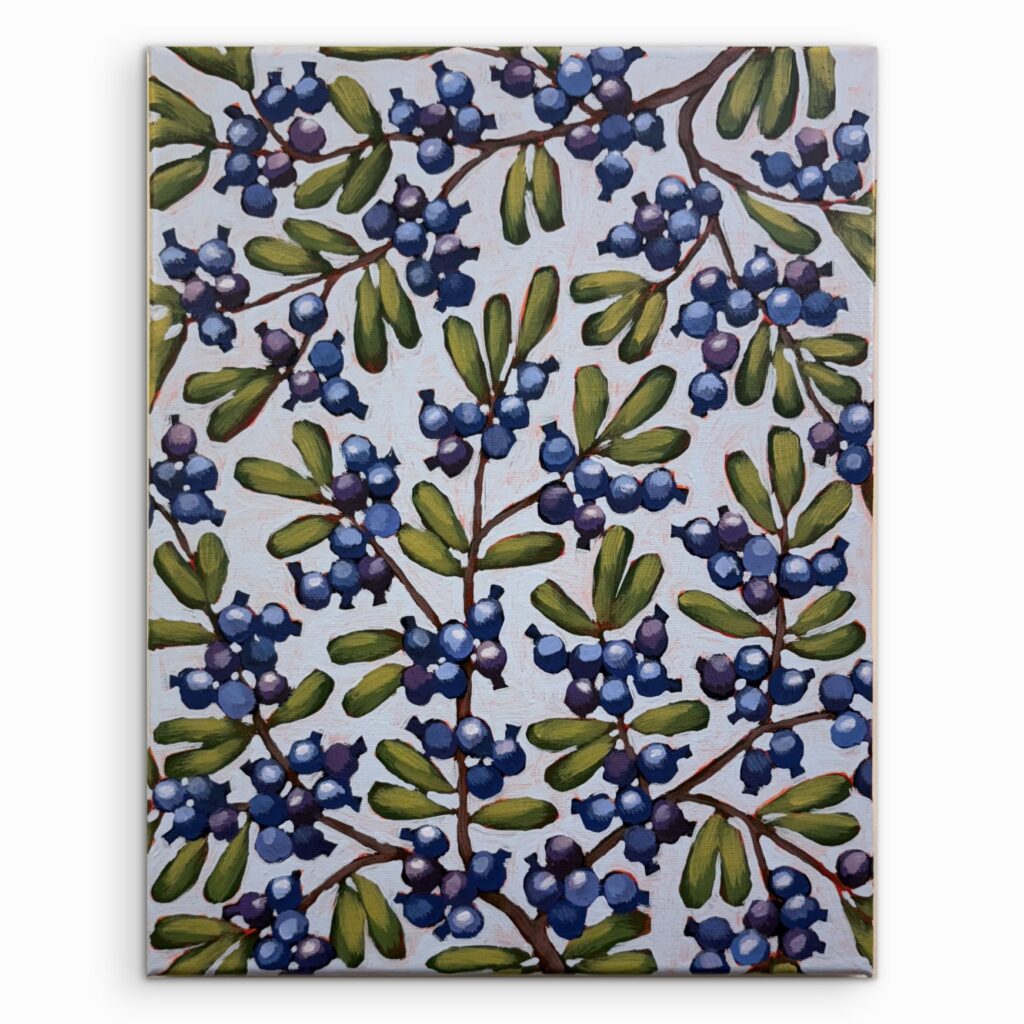 Blueberry 19 (5 of 7)