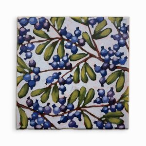 Blueberry 1 (1 of 7)