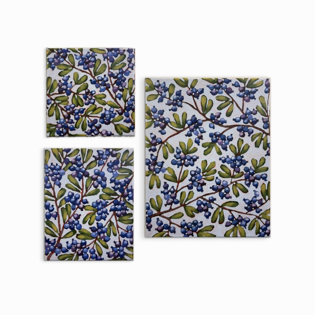 blueberry series staged