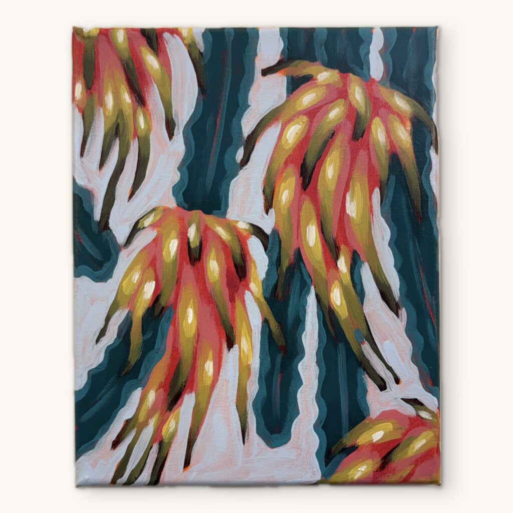 Dragon Fruit 10 (3 of 7)