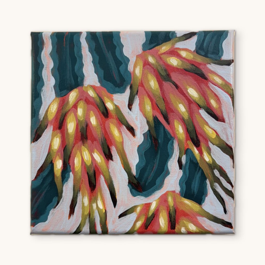 Dragon Fruit 1 (1 of 7)