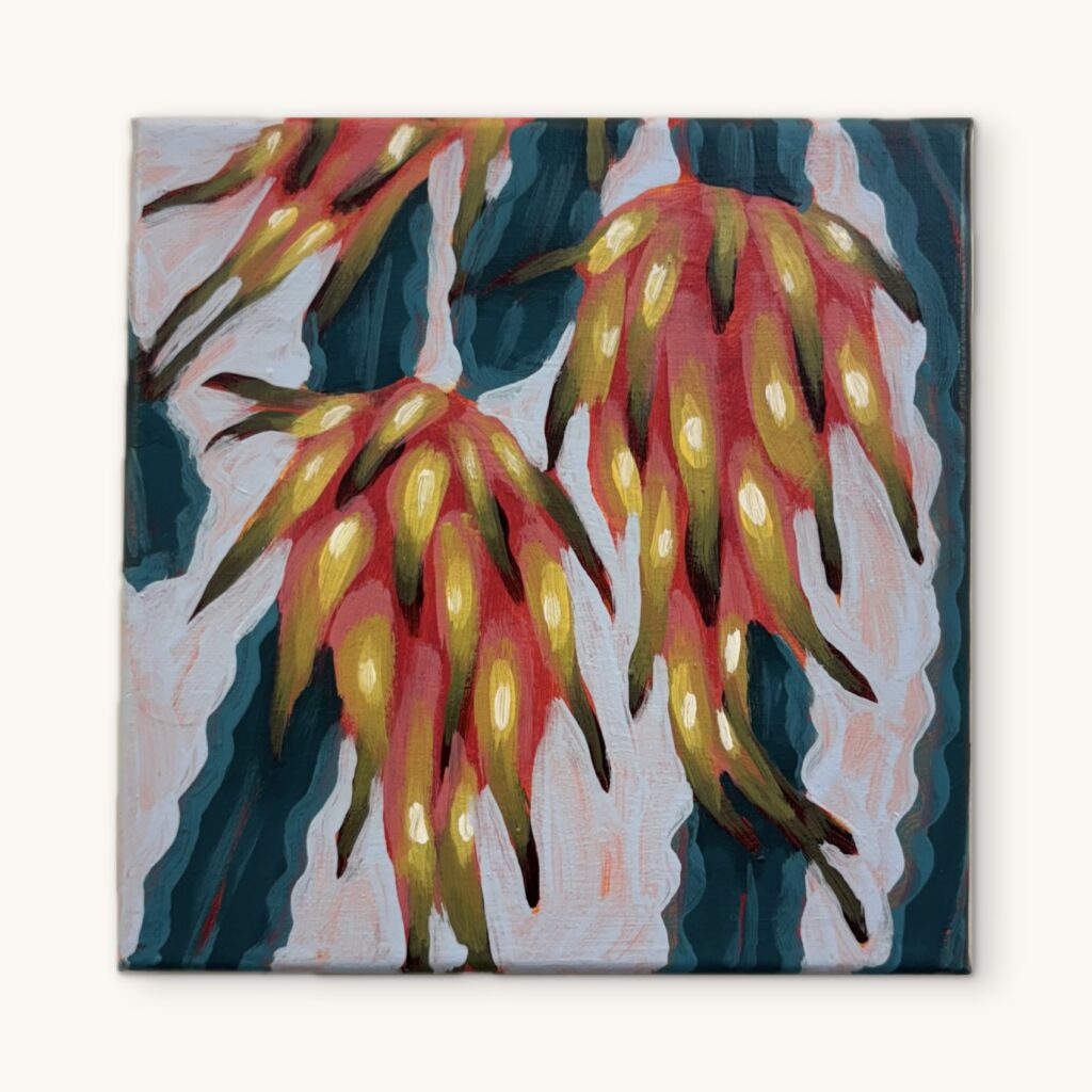 Dragon Fruit 6 (6 of 7)