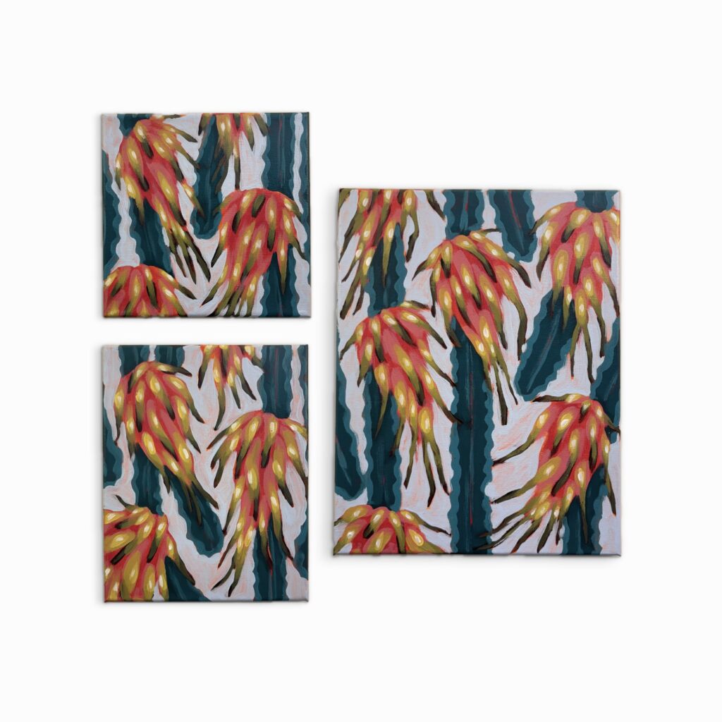 dragon fruit series staged